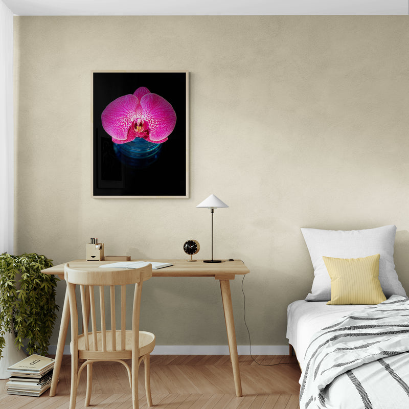 Pink Orchid in Vase, Poster Print, Modern Wall Art, Printed on Premium Semi-Glossy Paper Poster