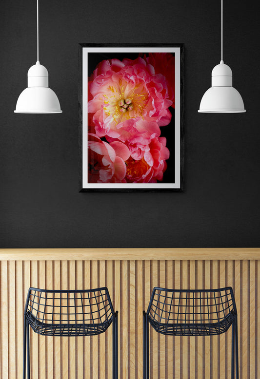 Peony Love Poster Print, Wall Art, Printed on Premium Semi-Glossy Paper Poster