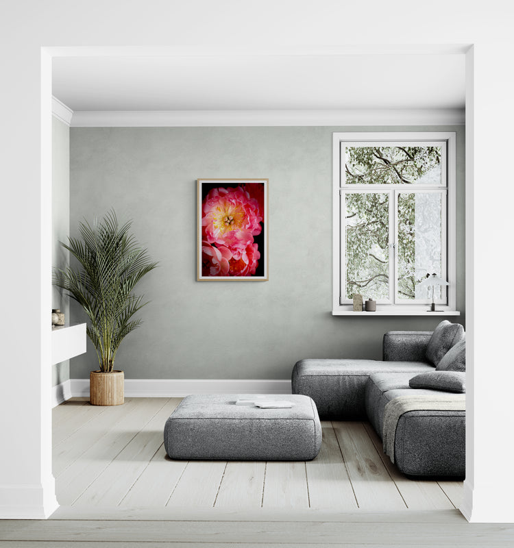 Peony Love Poster Print, Wall Art, Printed on Premium Semi-Glossy Paper Poster