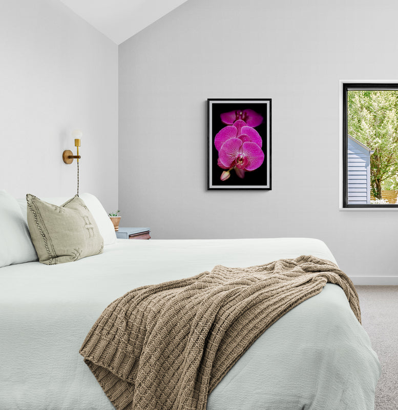 Pink Orchid Cluster Poster Print, Wall Art Printed on Premium Semi-Glossy Paper