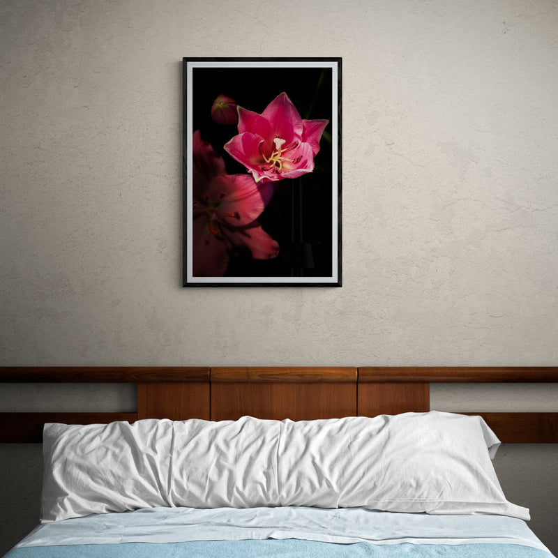 Pink Lily Poster Print, Wall Art, Printed on Premium Semi-Glossy Paper Poster