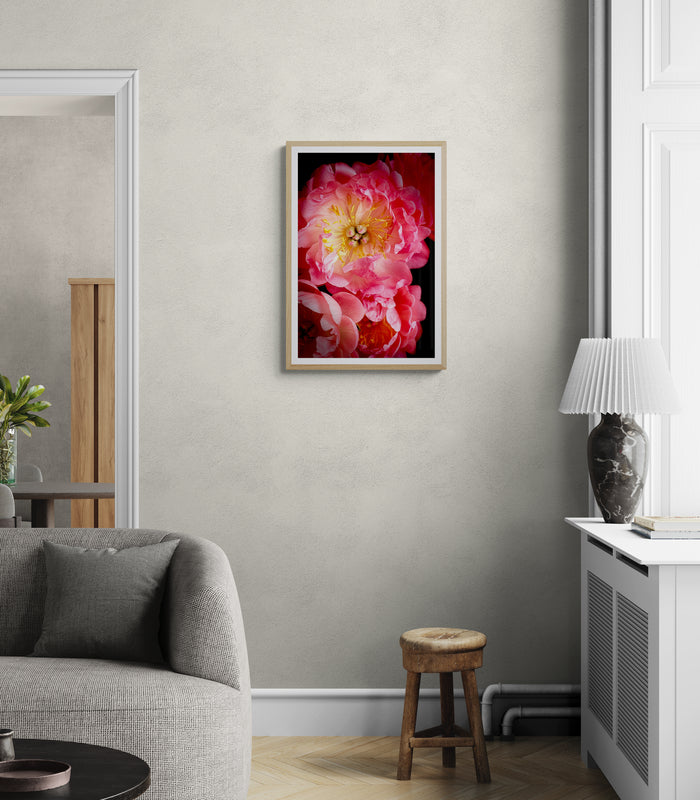 Peony Love Poster Print, Wall Art, Printed on Premium Semi-Glossy Paper Poster