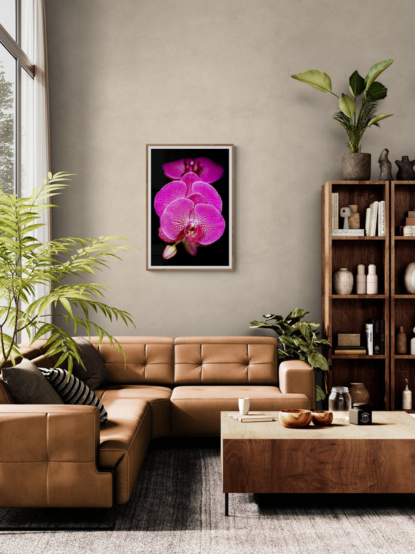 Pink Orchid Cluster Poster Print, Wall Art Printed on Premium Semi-Glossy Paper