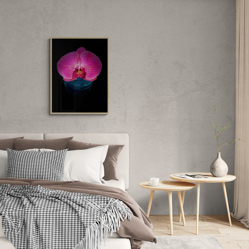 Pink Orchid in Vase, Poster Print, Modern Wall Art, Printed on Premium Semi-Glossy Paper Poster